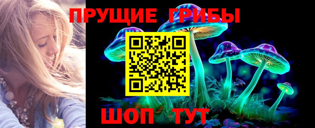 Заводоуковск  Галлюциногенные грибы мицелий  Вход с VPN 