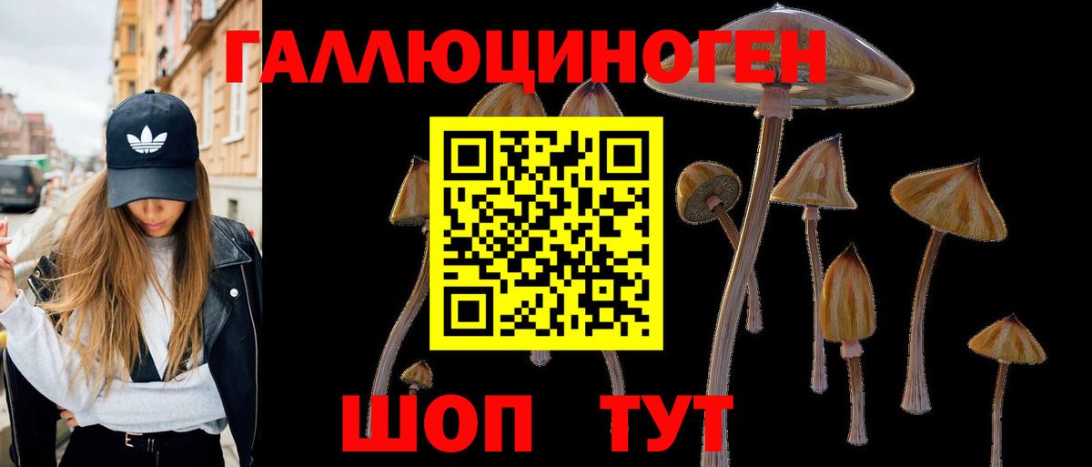 Галлюциногенные грибы MAGIC MUSHROOMS Заводоуковск